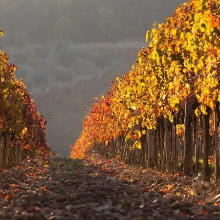 Cellole - La Stalla By Interhome Castellina in Chianti